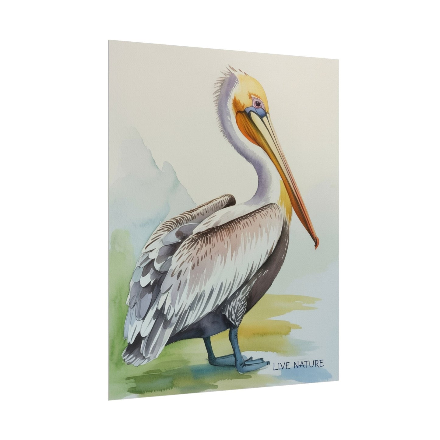Pelican Watercolor Art Print 'Live Nature' Design