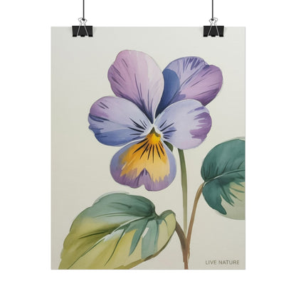 Wisconsin Wood Violet Watercolor Print – State Flower Art