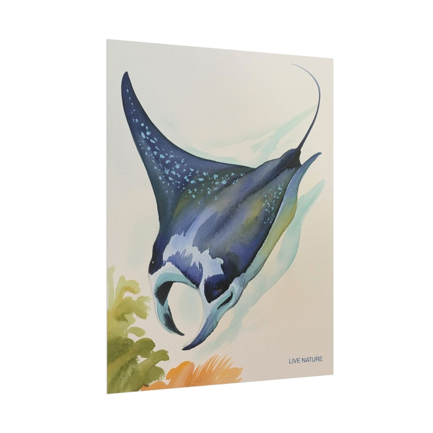 Manta Ray Watercolor Art Print 'Live Nature' Design