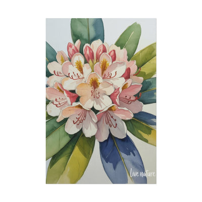 Rhododendron Blossom Watercolor Print 'Live Nature