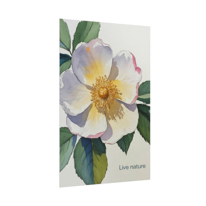 Cherokee Rose Watercolor Art Print 'Live Nature