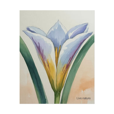 Sego Lily Watercolor Print Utah State Flower Art