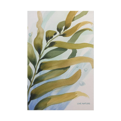 Live Nature Kelp Watercolor Print Poster