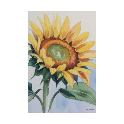 Kansas Sunflower Watercolor Art Print 'Live Nature