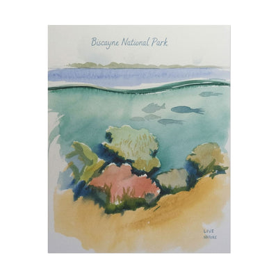 Biscayne National Park Underwater Watercolor Print