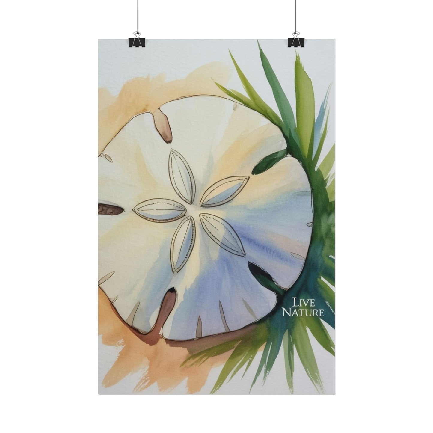 Sand Dollar Watercolor Print with 'Live Nature' Text