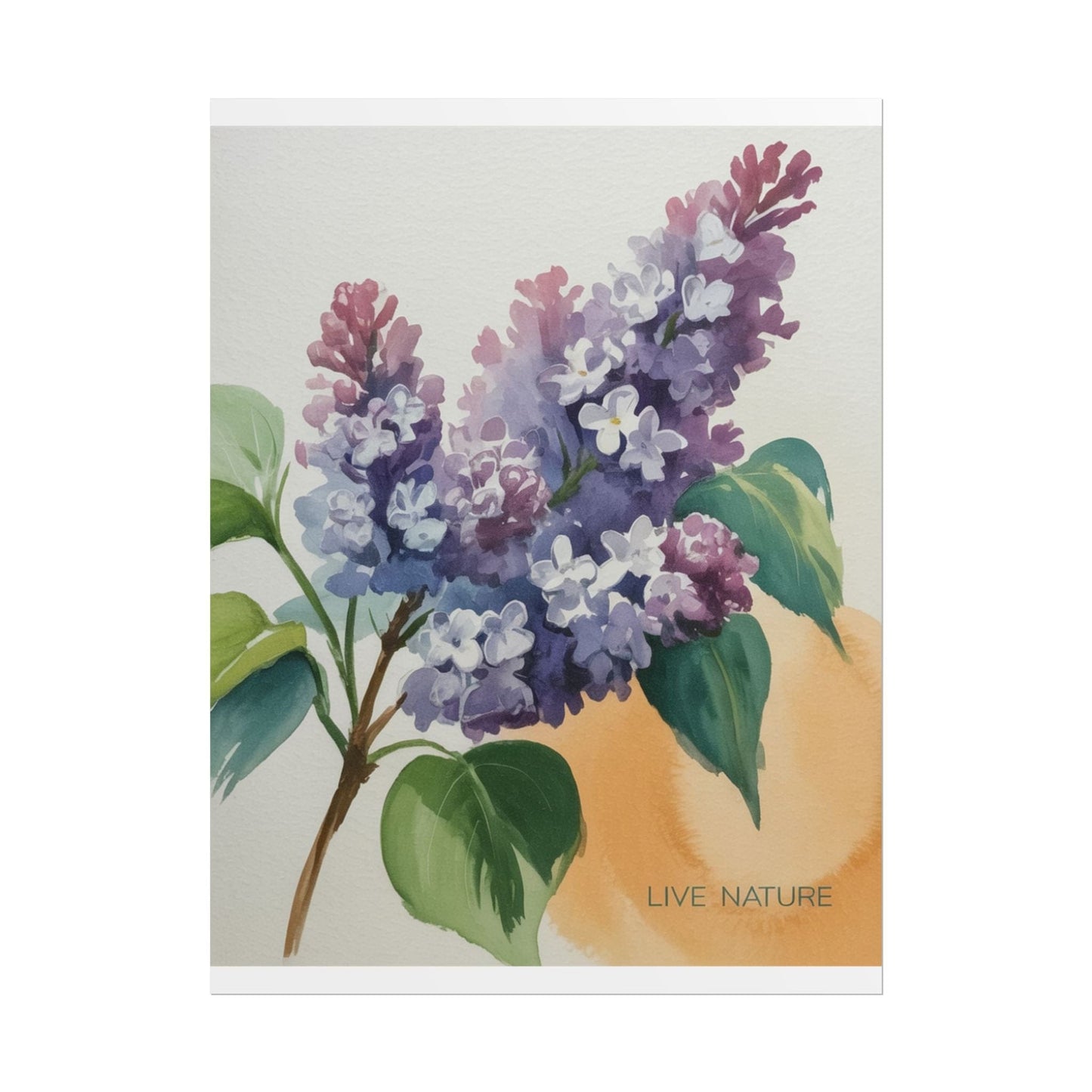 Lilac Blossom Watercolor Poster 'Live Nature' Design