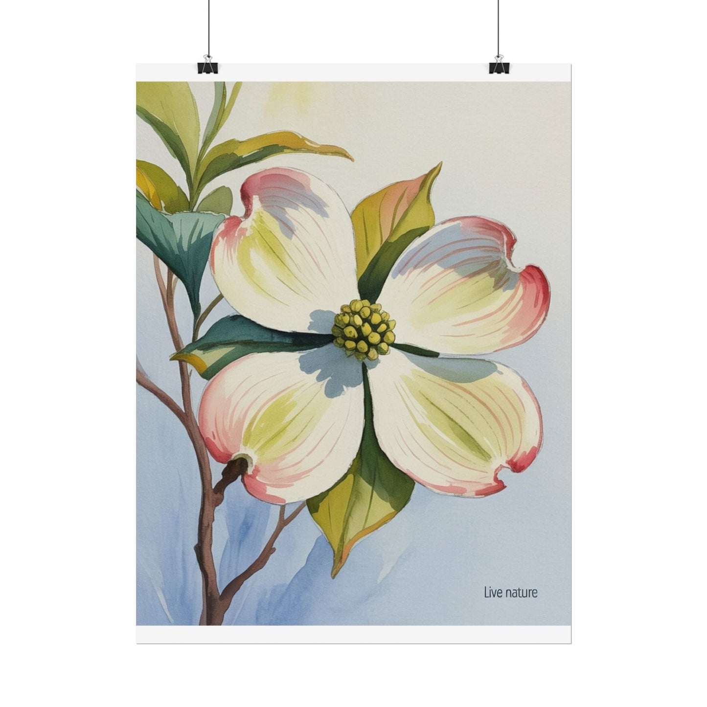 North Carolina Dogwood Watercolor Art Print