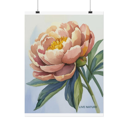 Peony Bloom Watercolor Poster Live Nature Art Print
