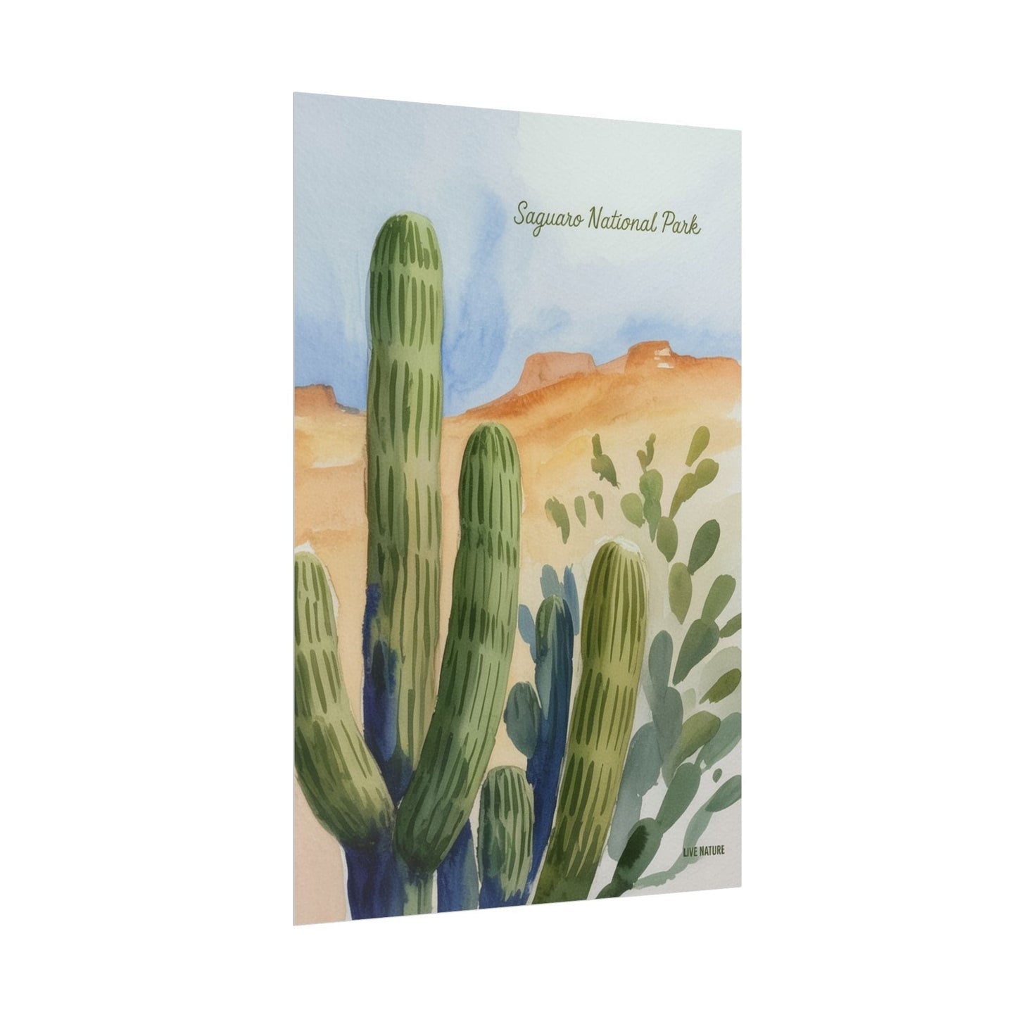 Saguaro National Park Watercolor Cactus Art Print