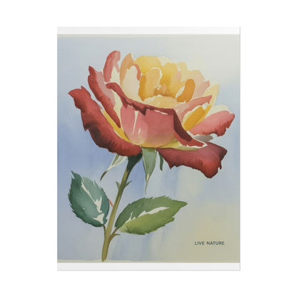 New York State Rose Watercolor Art Print
