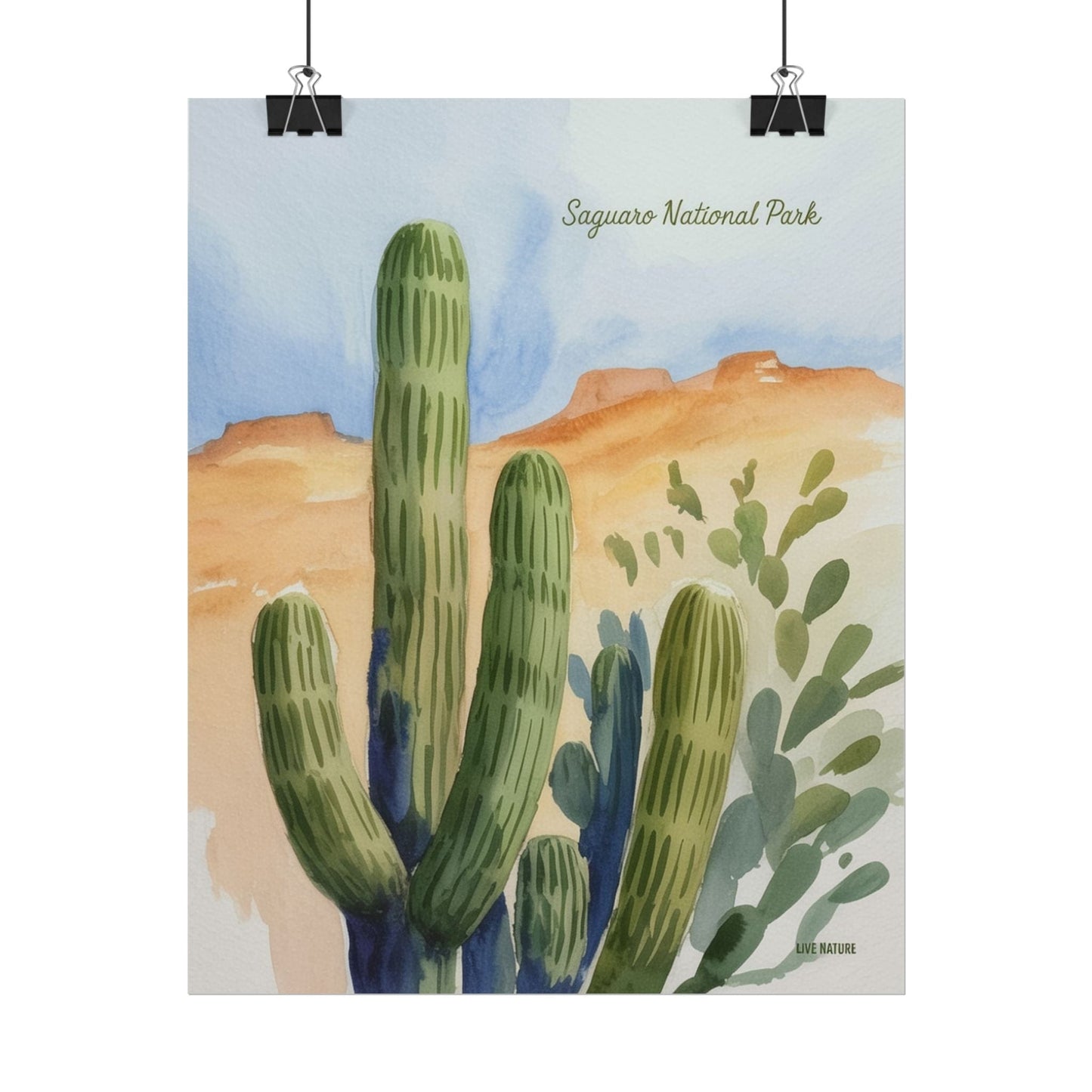 Saguaro National Park Watercolor Cactus Art Print