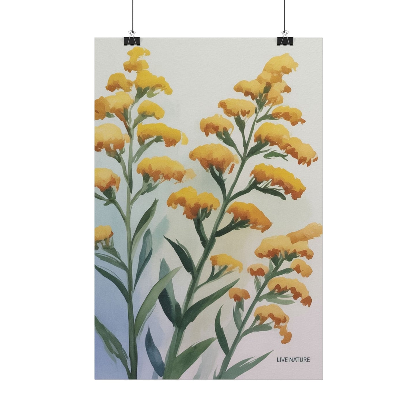 Goldenrod Watercolor Botanical Art Print 'Live Nature
