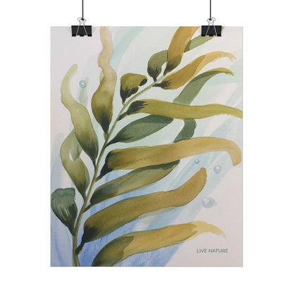 Live Nature Kelp Watercolor Print Poster