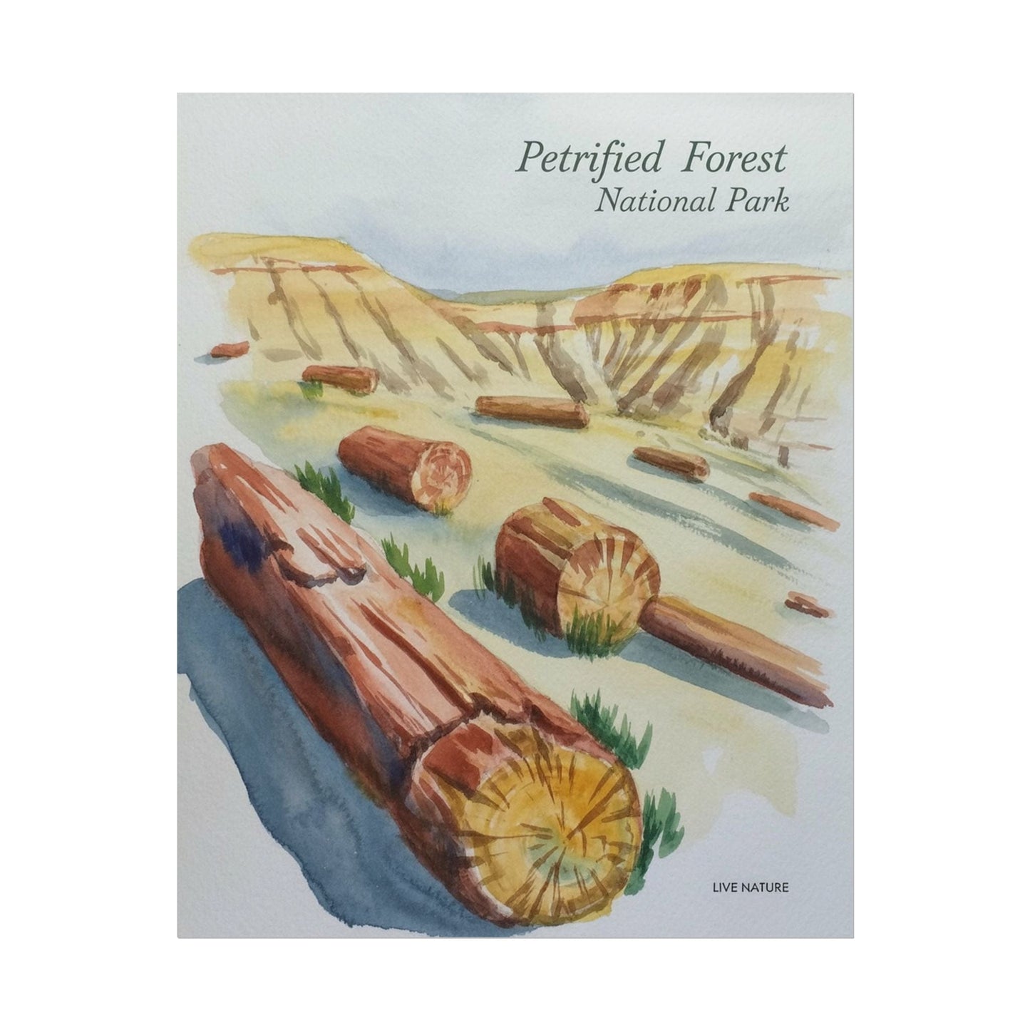 Petrified Forest National Park Watercolor Art Print