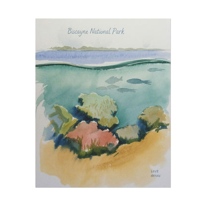 Biscayne National Park Underwater Watercolor Print