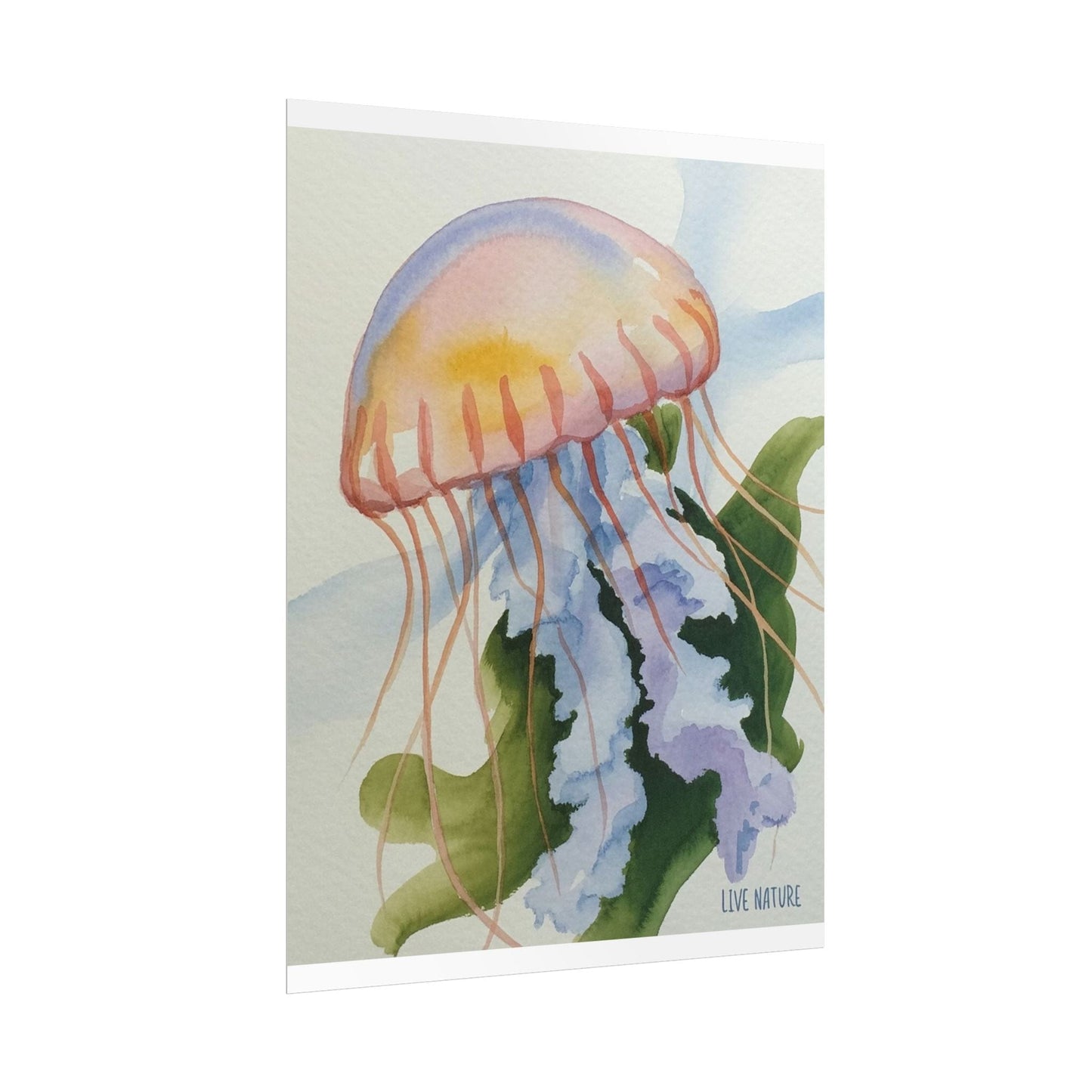 Jellyfish Watercolor Art Print 'Live Nature' Design