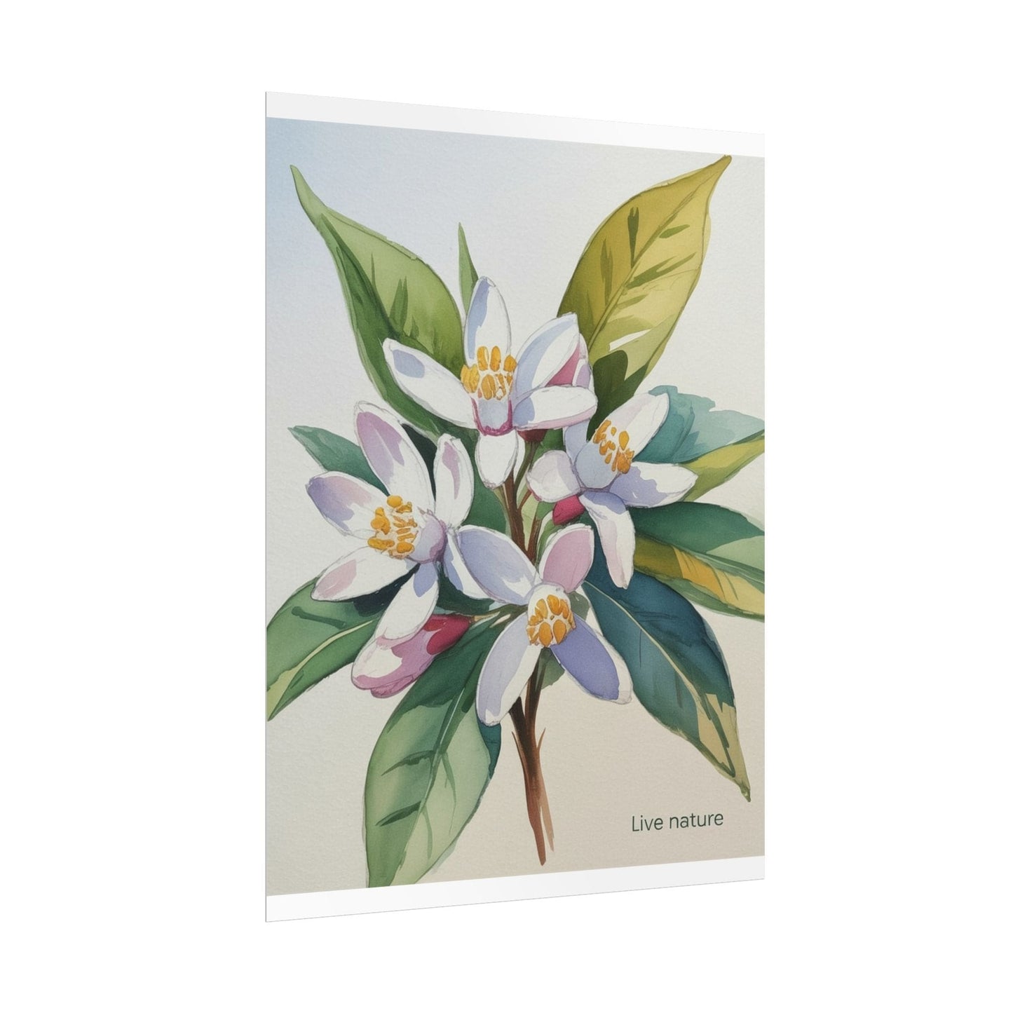 Orange Blossom Floral Watercolor Print 'Live Nature
