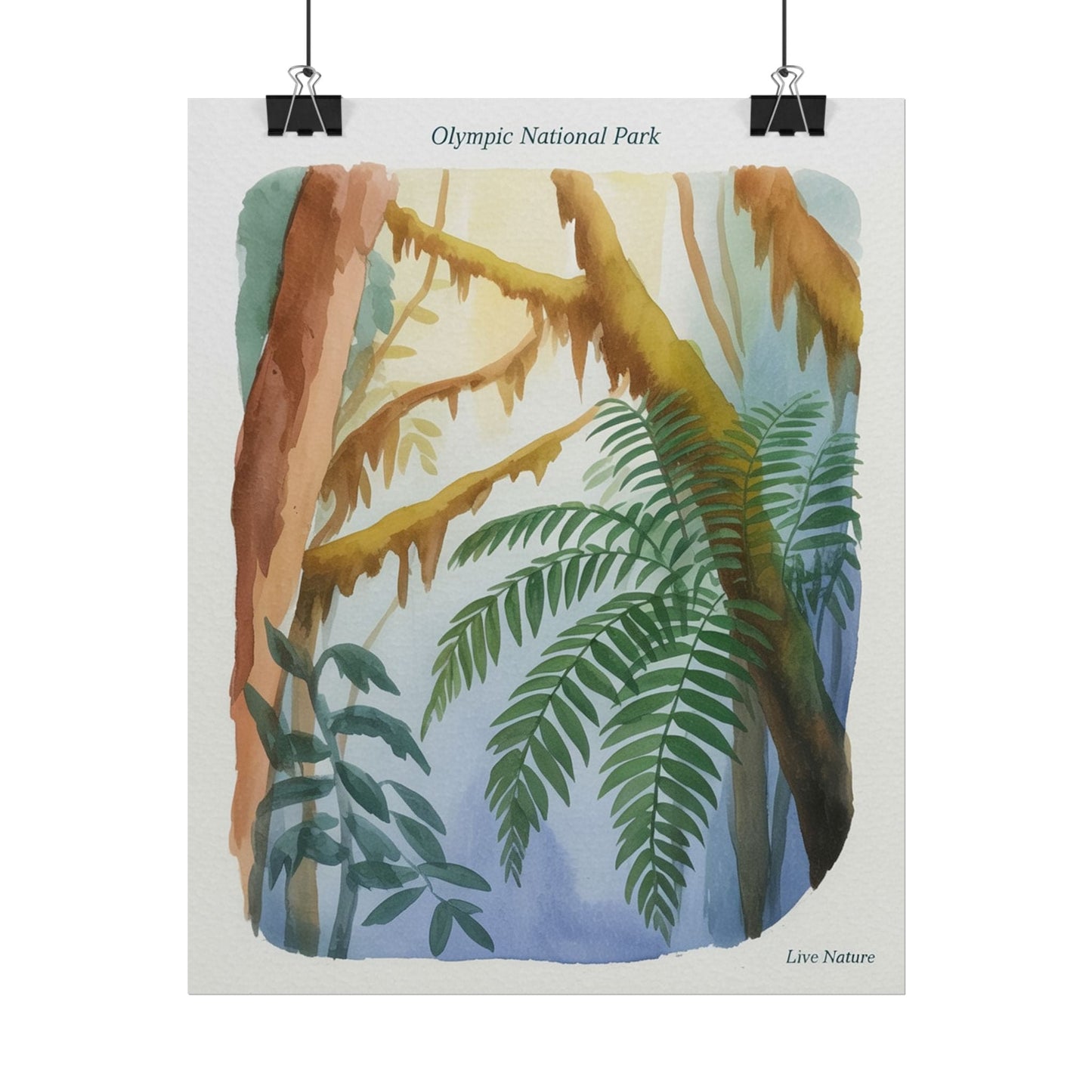 Olympic National Park Watercolor Forest Poster