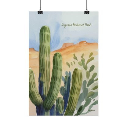 Saguaro National Park Watercolor Cactus Art Print