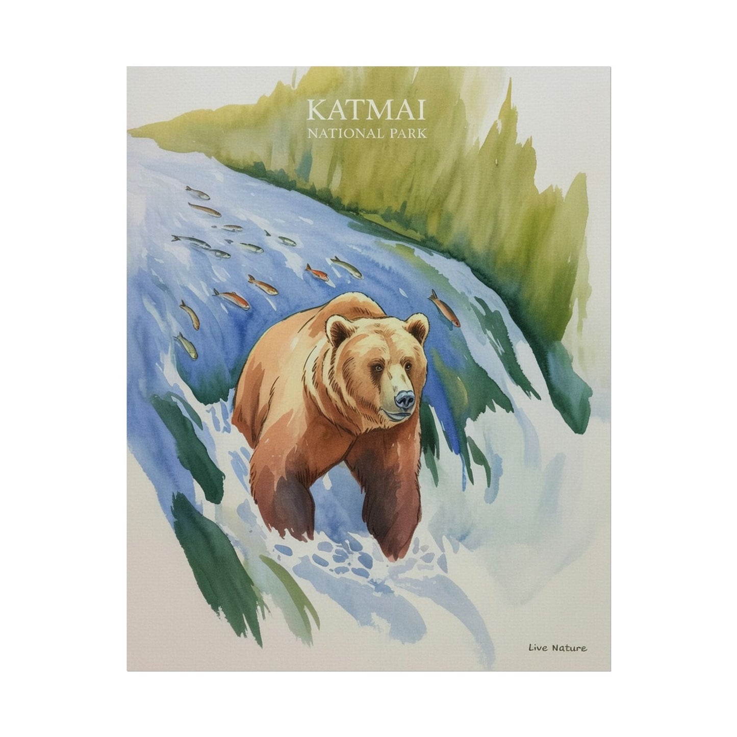 Katmai National Park Bear Watercolor Art Print