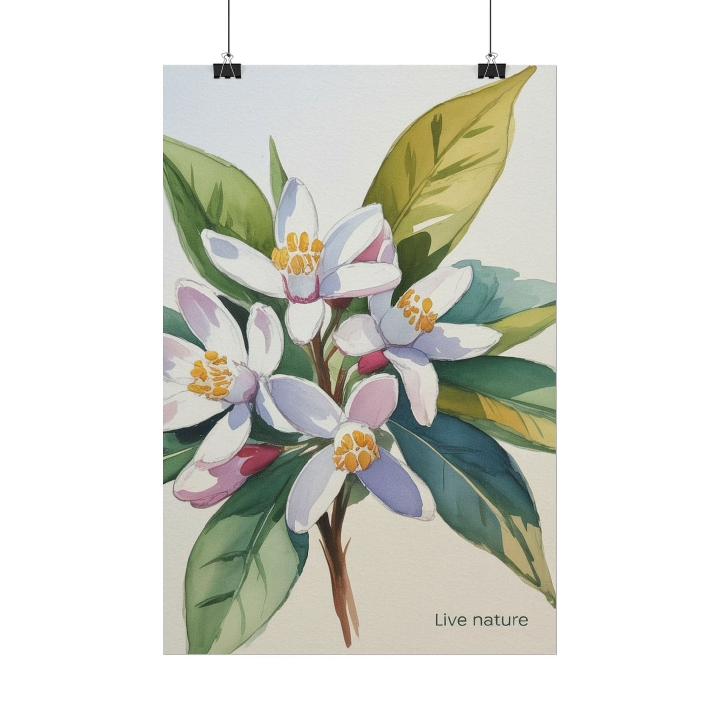 Orange Blossom Floral Watercolor Print 'Live Nature