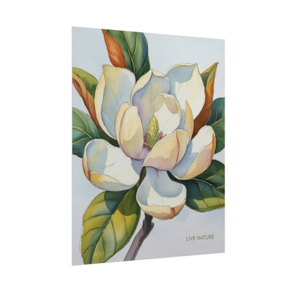 Magnolia Blossom Art Print on Fine Art Paper