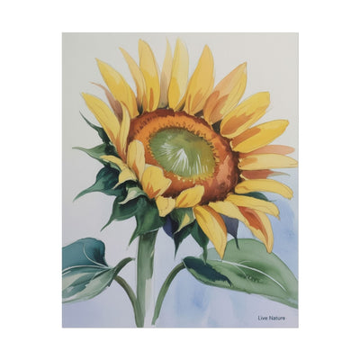 Kansas Sunflower Watercolor Art Print 'Live Nature