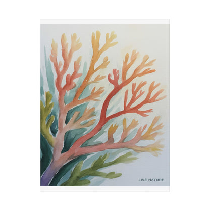 Live Nature Coral Watercolor Print on Fine Art Paper