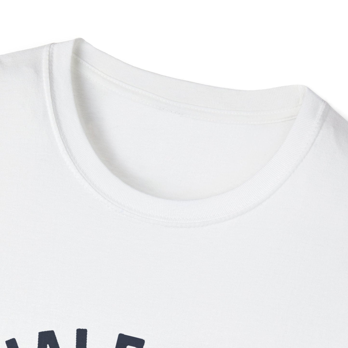 Kenai Fjords National Park Retro T-Shirt - Softstyle