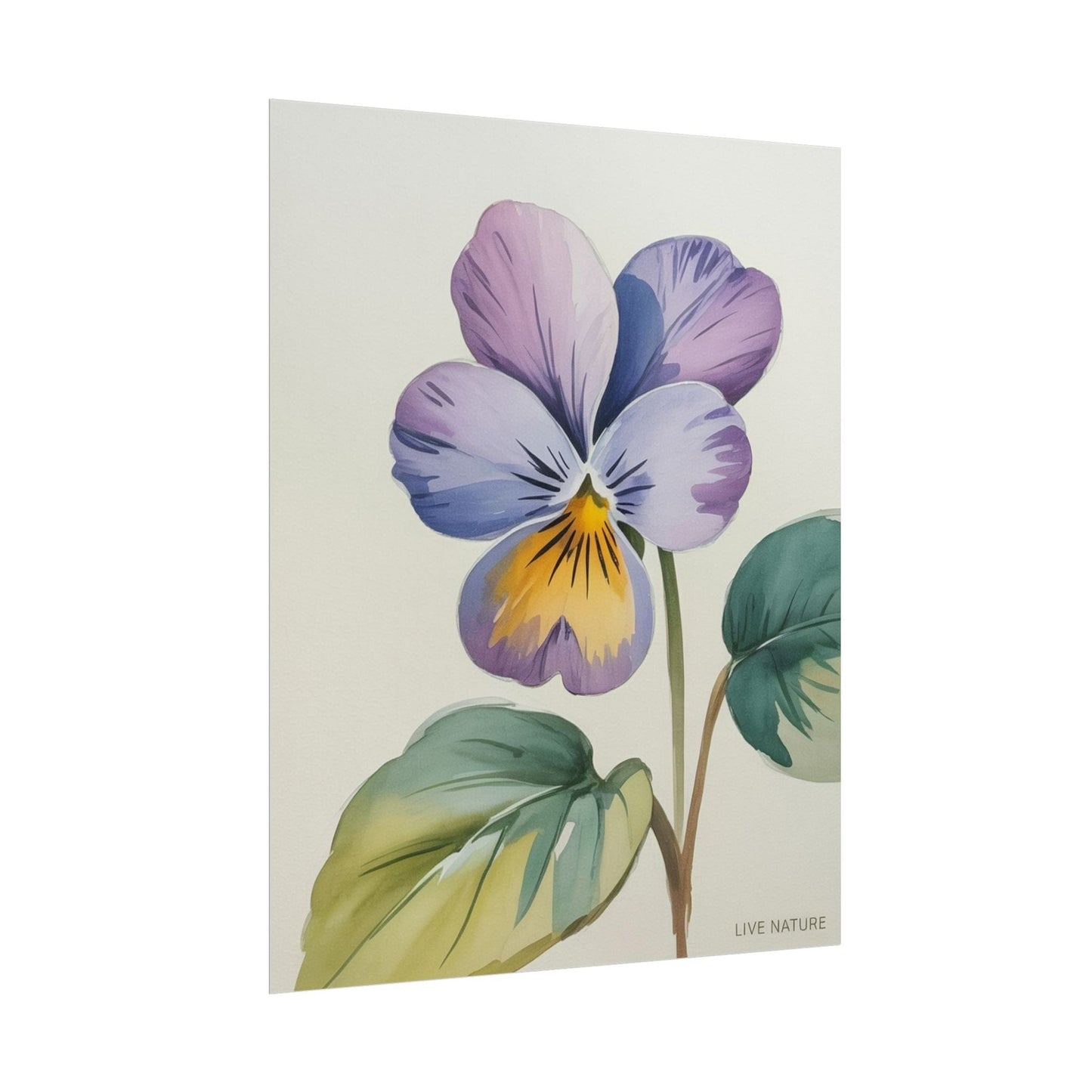 Wisconsin Wood Violet Watercolor Print – State Flower Art