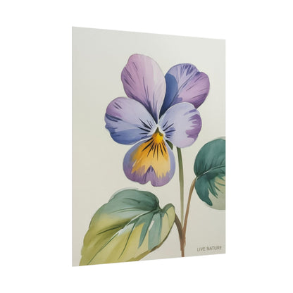 Wisconsin Wood Violet Watercolor Print – State Flower Art