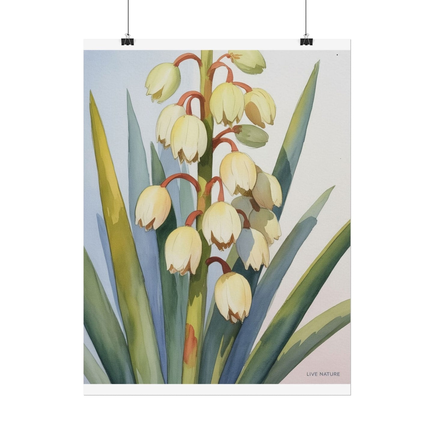 Yucca Bloom Watercolor Print Live Nature Collection