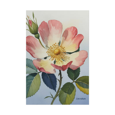 Wild Prairie Rose Watercolor Art Print