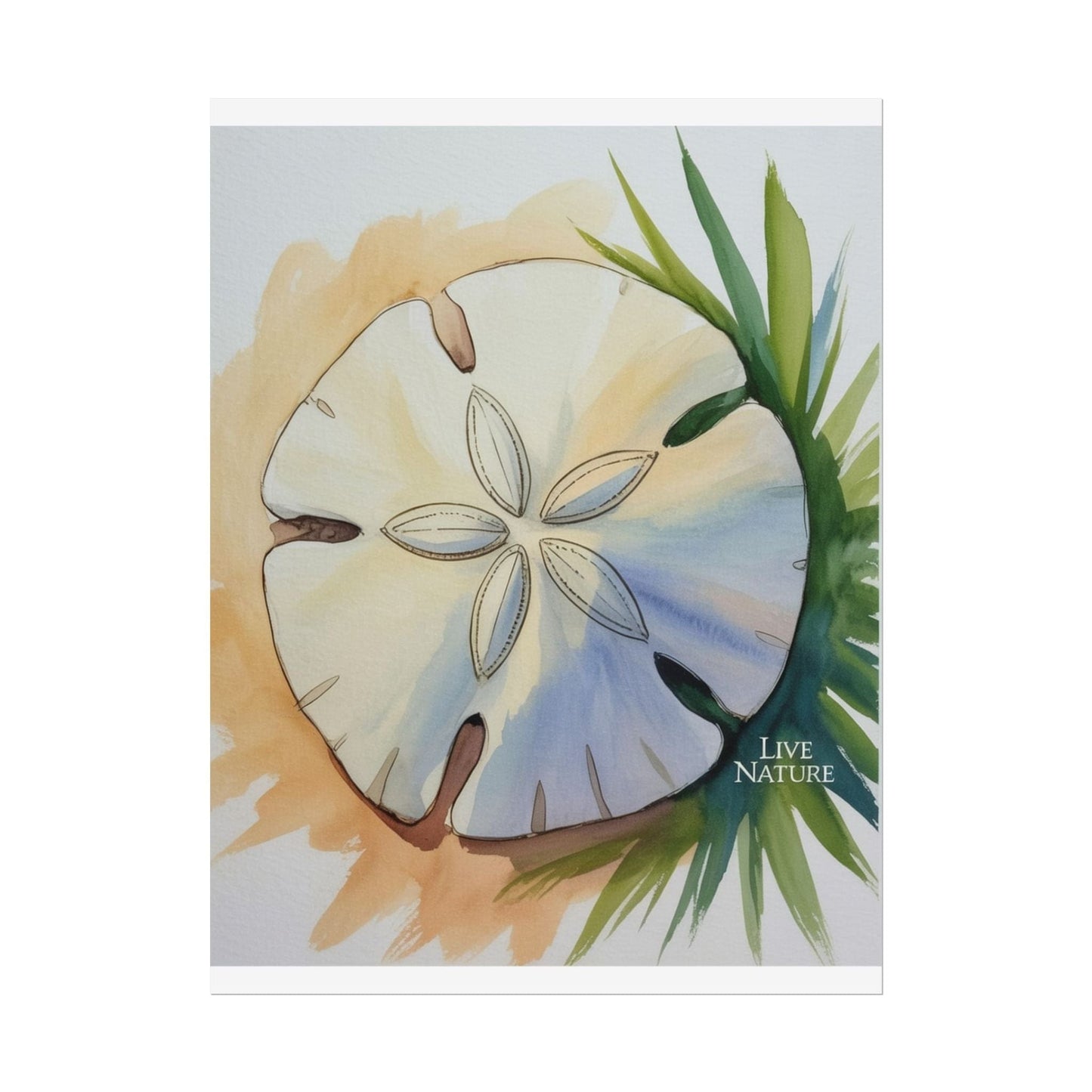 Sand Dollar Watercolor Print with 'Live Nature' Text