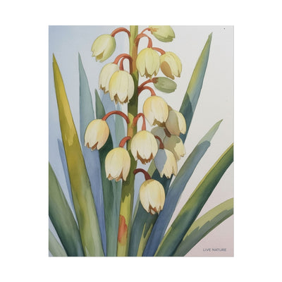 Yucca Bloom Watercolor Print Live Nature Collection