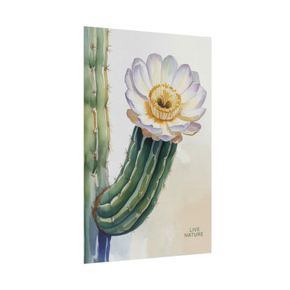 Saguaro Cactus Bloom Watercolor Art Print 'Live Nature