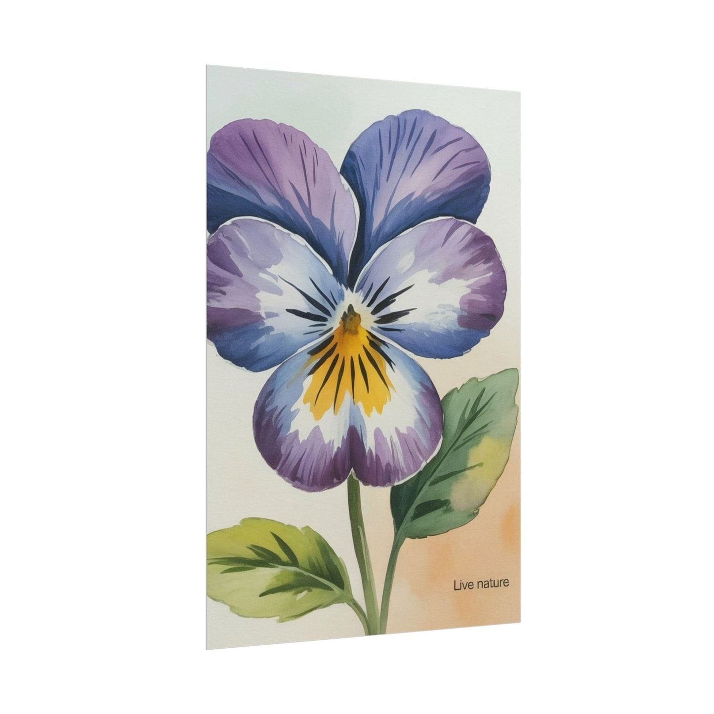 Purple Pansy Watercolor Poster Art Print - Live Nature