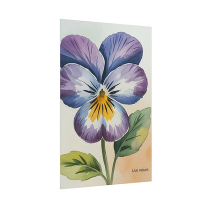 Purple Pansy Watercolor Poster Art Print - Live Nature