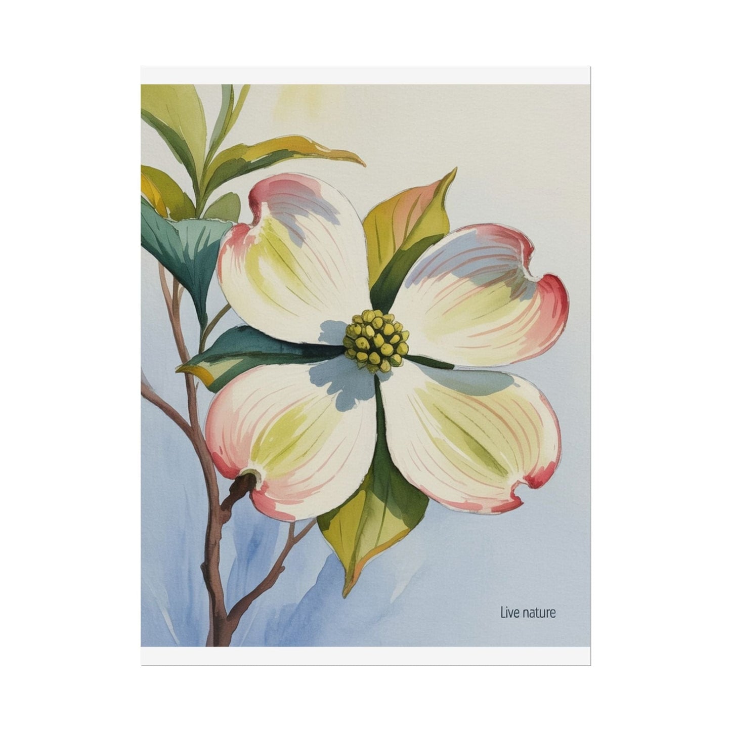 North Carolina Dogwood Watercolor Art Print