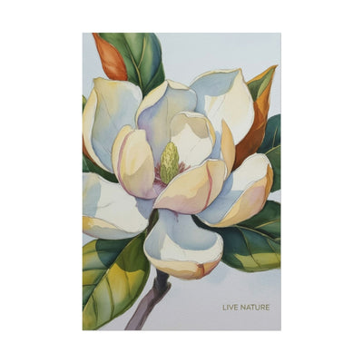 Magnolia Blossom Art Print on Fine Art Paper