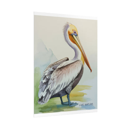 Pelican Watercolor Art Print 'Live Nature' Design