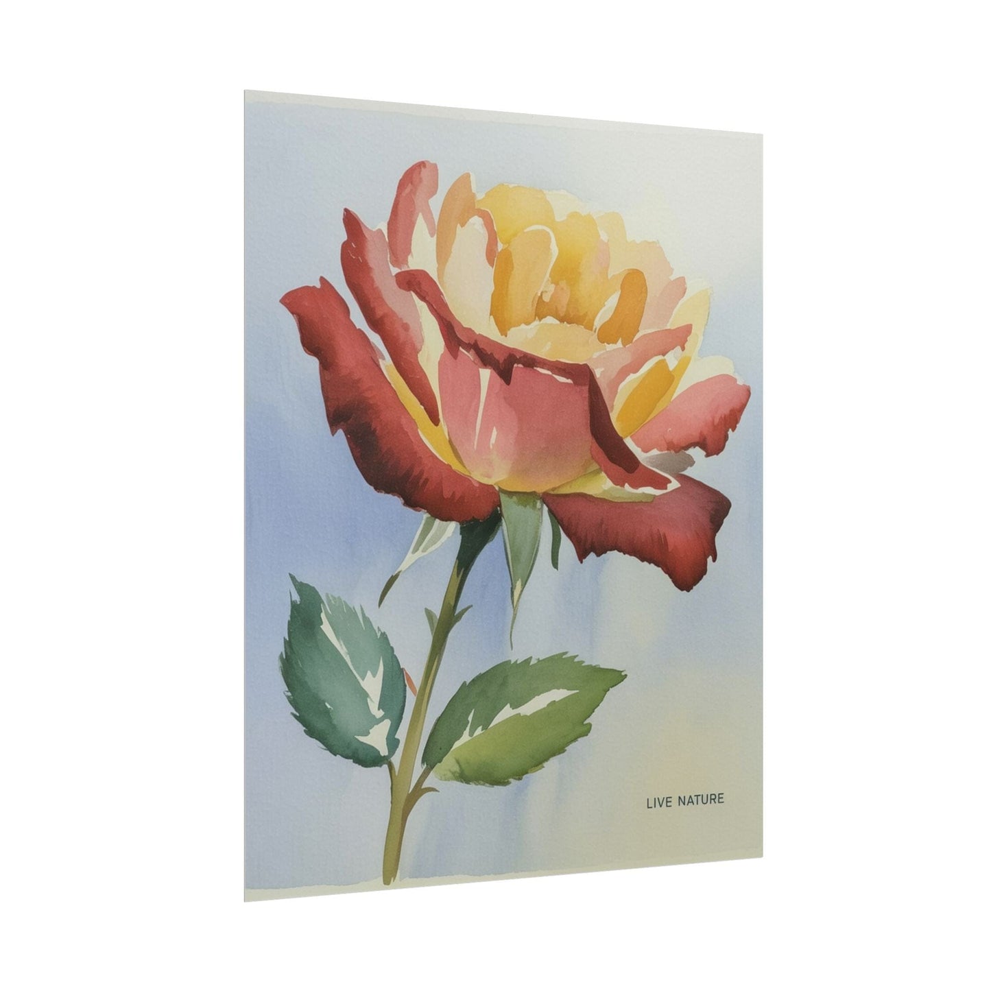 New York State Rose Watercolor Art Print