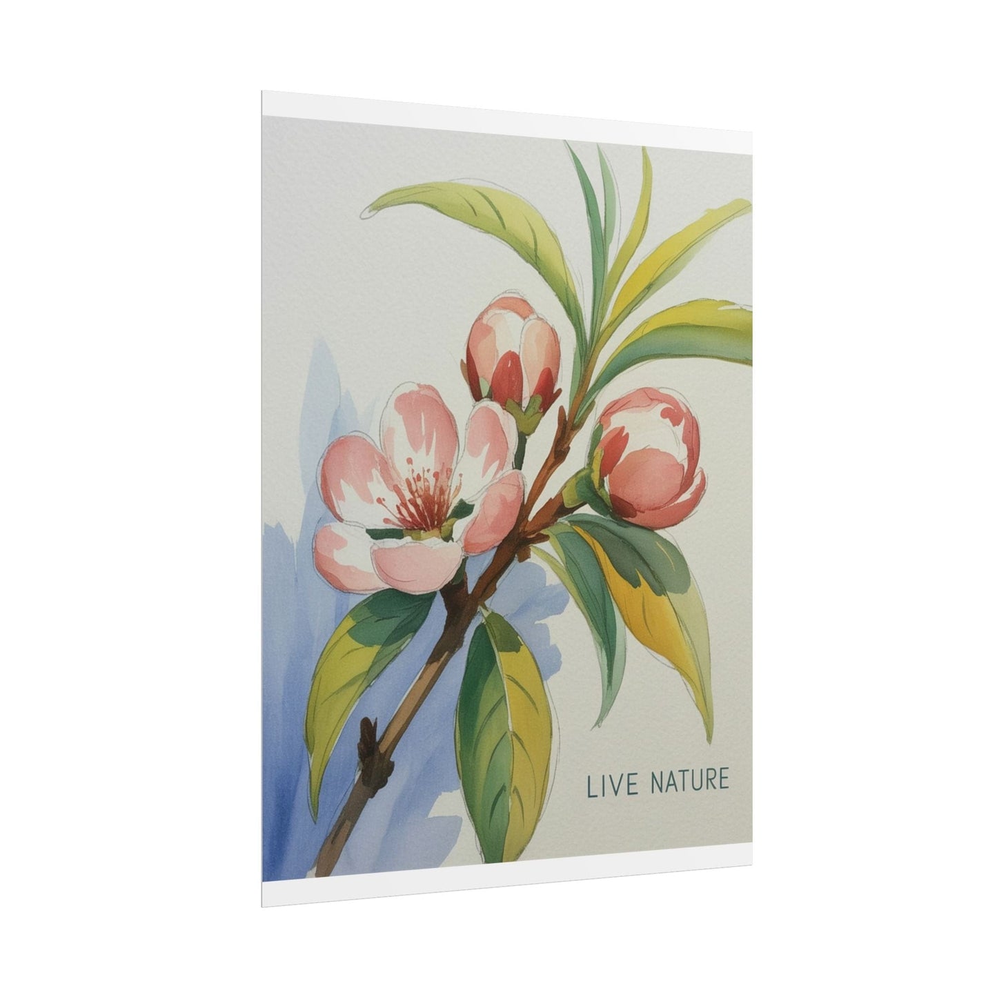 Peach Blossom Live Nature Art Print Poster