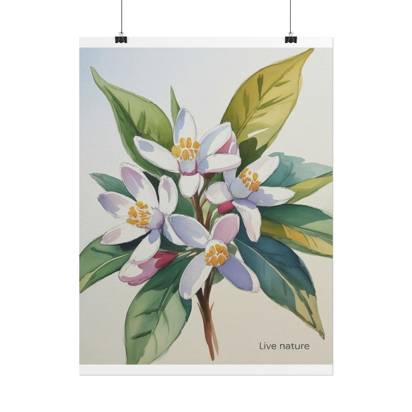 Orange Blossom Floral Watercolor Print 'Live Nature