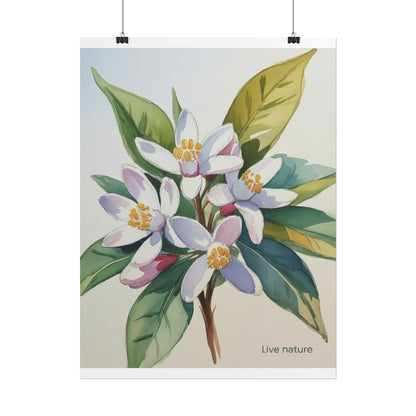 Orange Blossom Floral Watercolor Print 'Live Nature