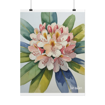 Rhododendron Blossom Watercolor Print 'Live Nature