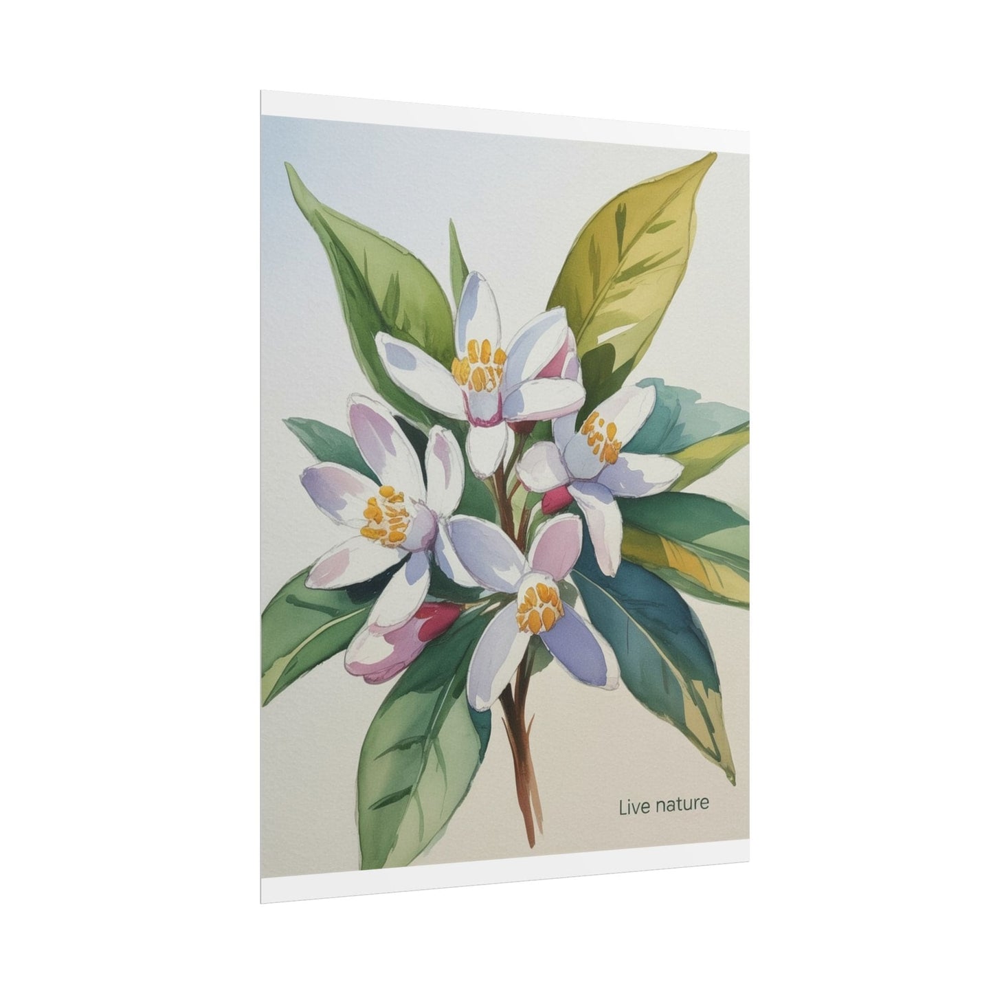 Orange Blossom Floral Watercolor Print 'Live Nature