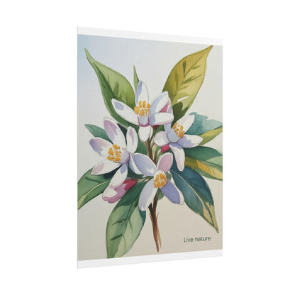 Orange Blossom Floral Watercolor Print 'Live Nature