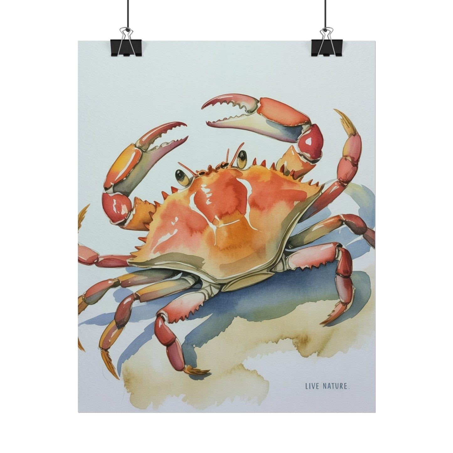 Live Nature Crab Watercolor Art Print Poster